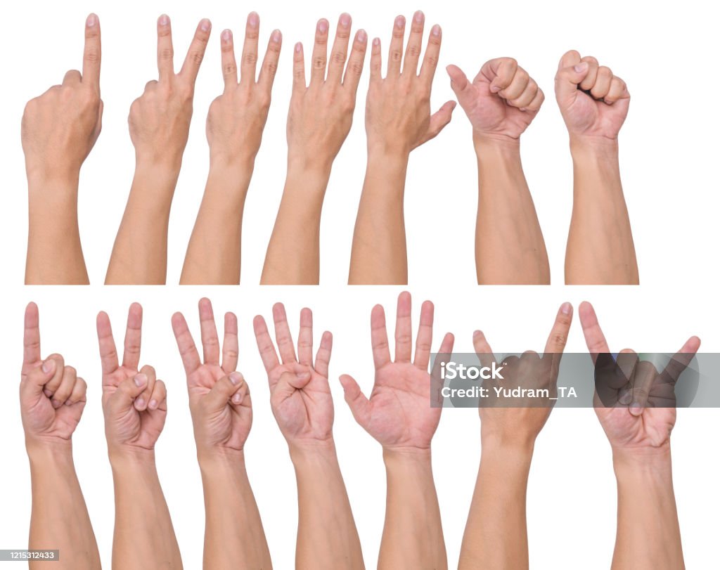 Static Gesture Dataset